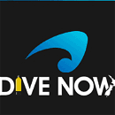 DIVE NOW logo