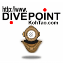 Dive Point logo