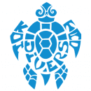 Koh Tao Divers