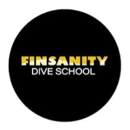 Finsanity logo