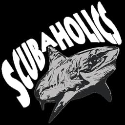 Plan D Scuba &amp; ScubaHolics logo
