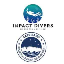 Impact Divers logo