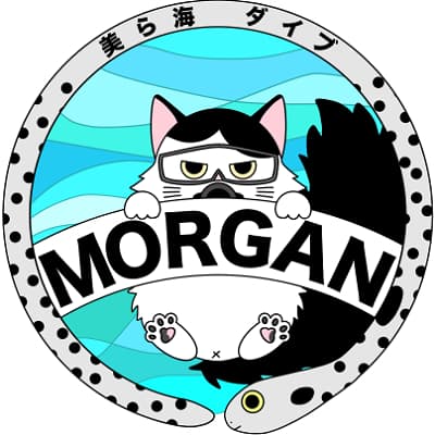 美ら海ダイブ MORGAN