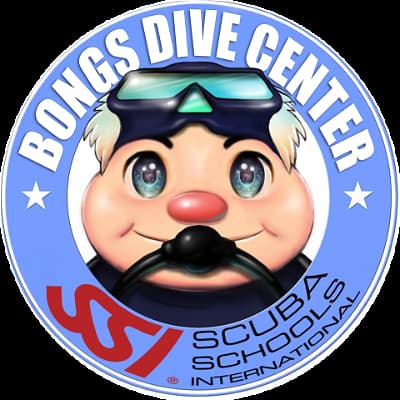 Bongs dive