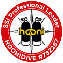 Hoonidive