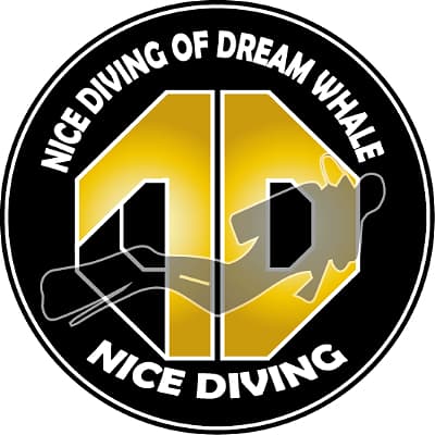 NICE DIVING