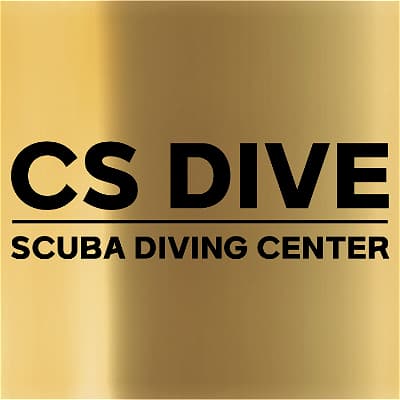 CS DIVE