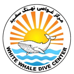 White Whale Dive Center logo