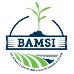 BAMSI logo
