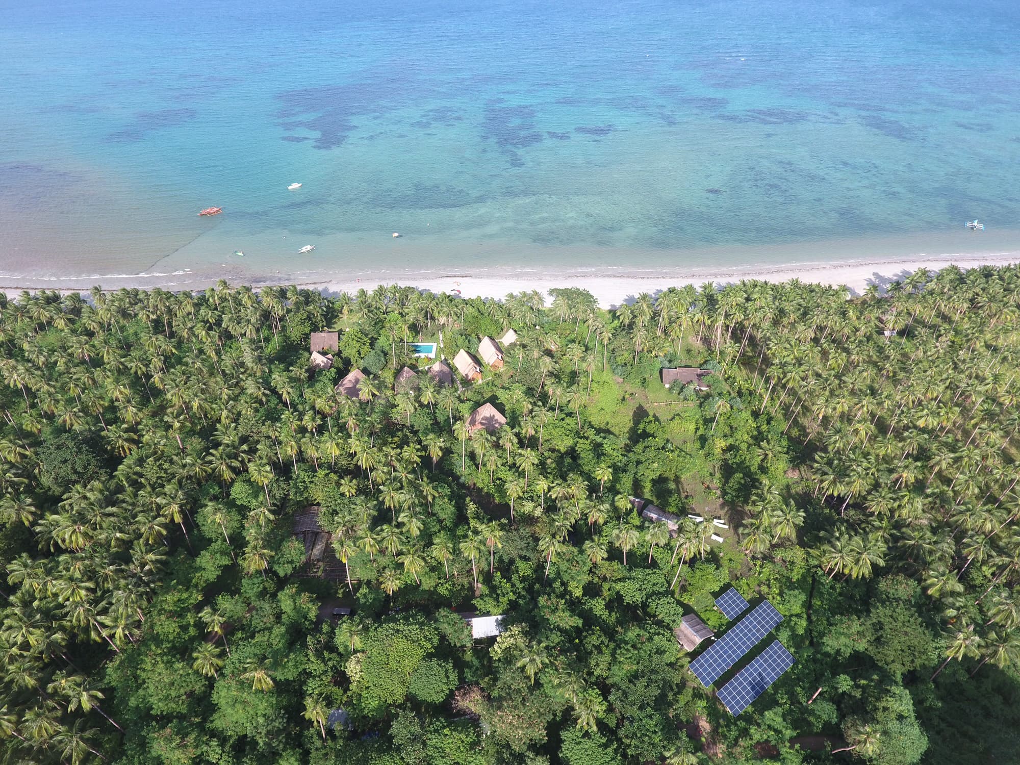 Qi Palawan
