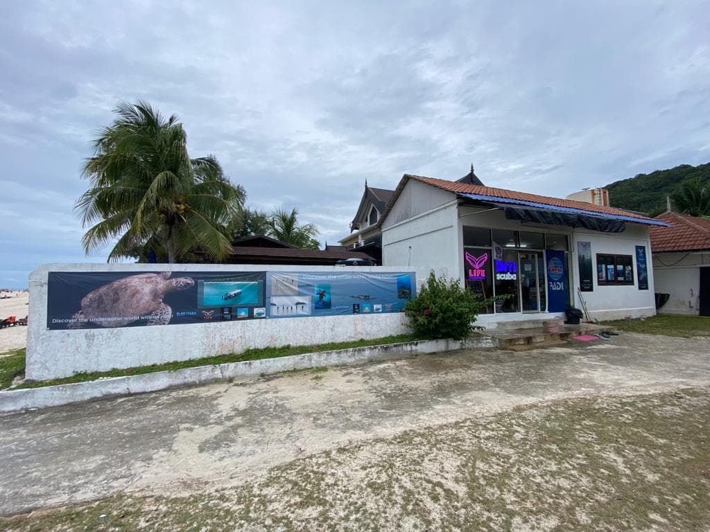 DM Scuba Dive Team