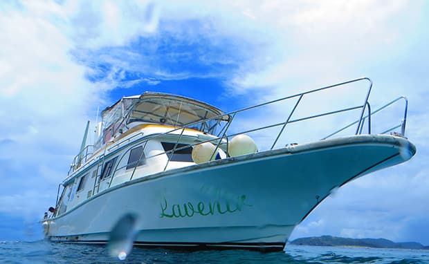 Sea Max Diving Club