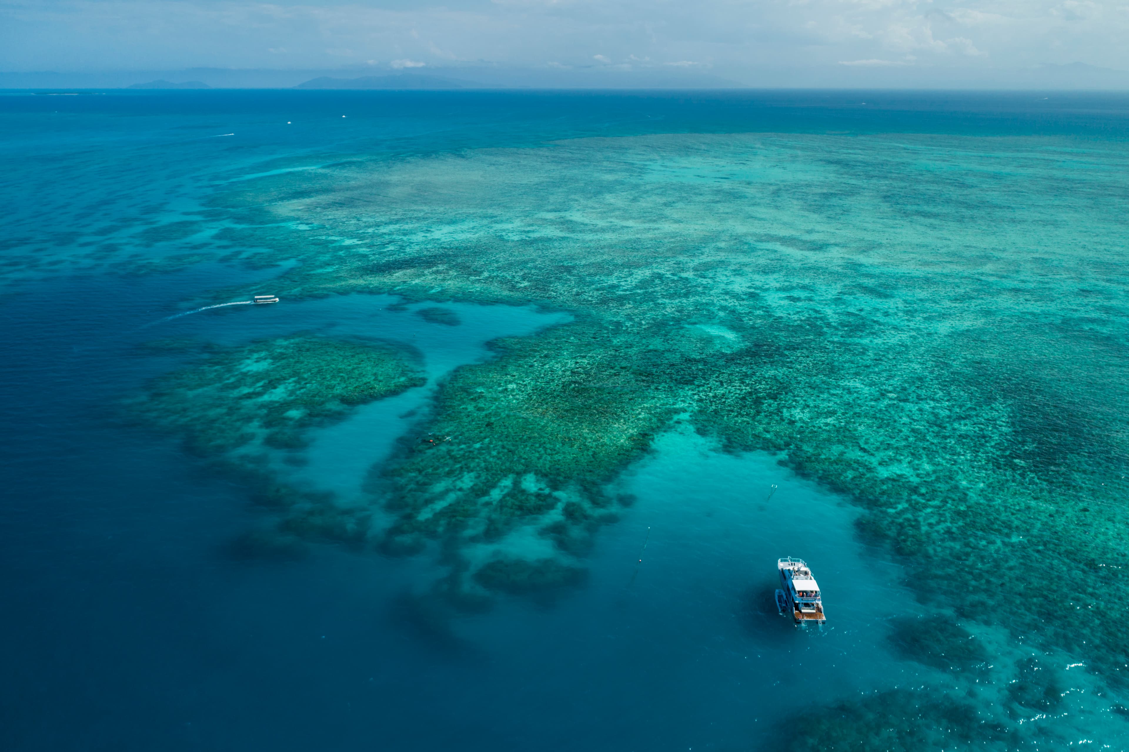 Ocean Free & Ocean Freedom