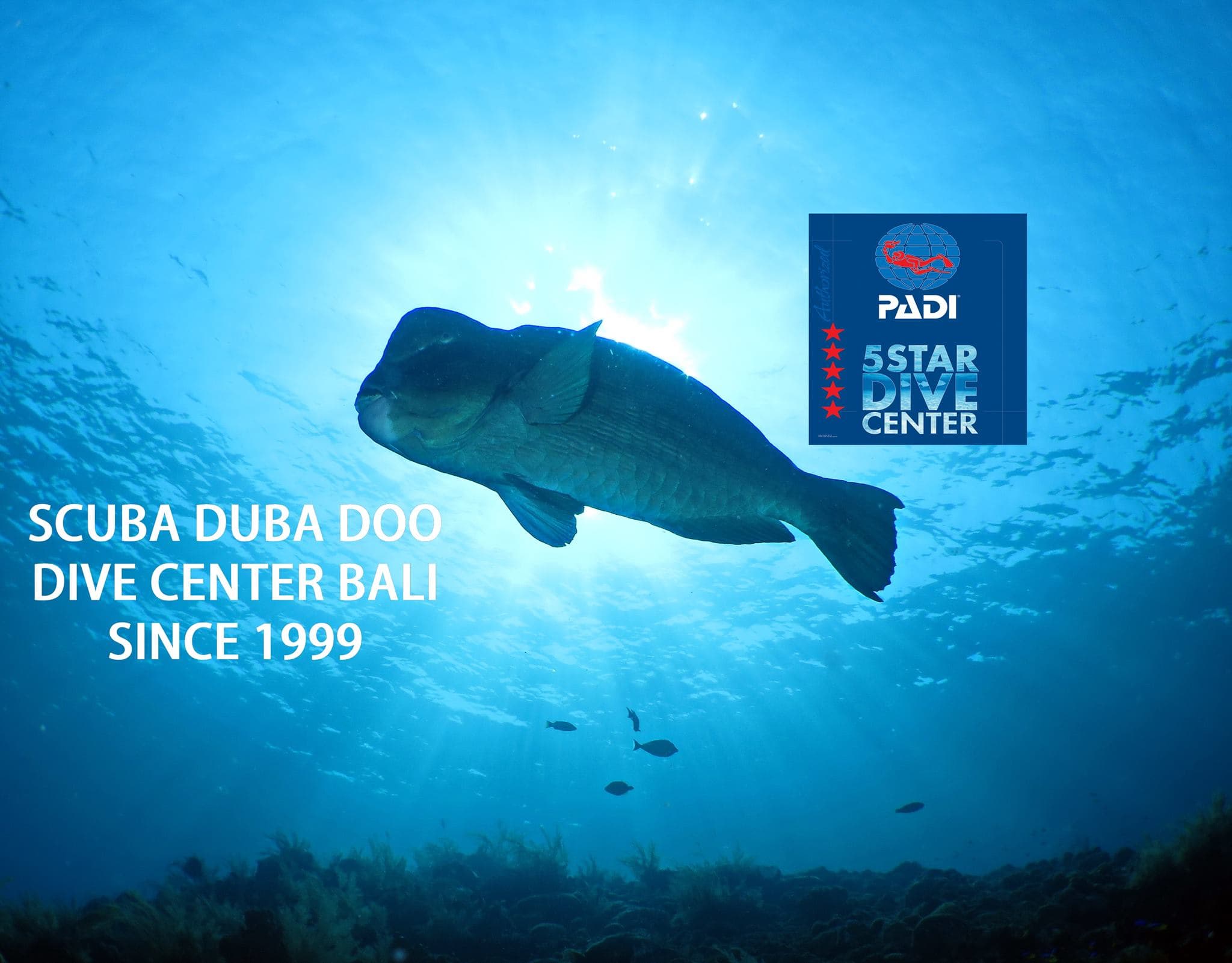 Scuba Duba Doo