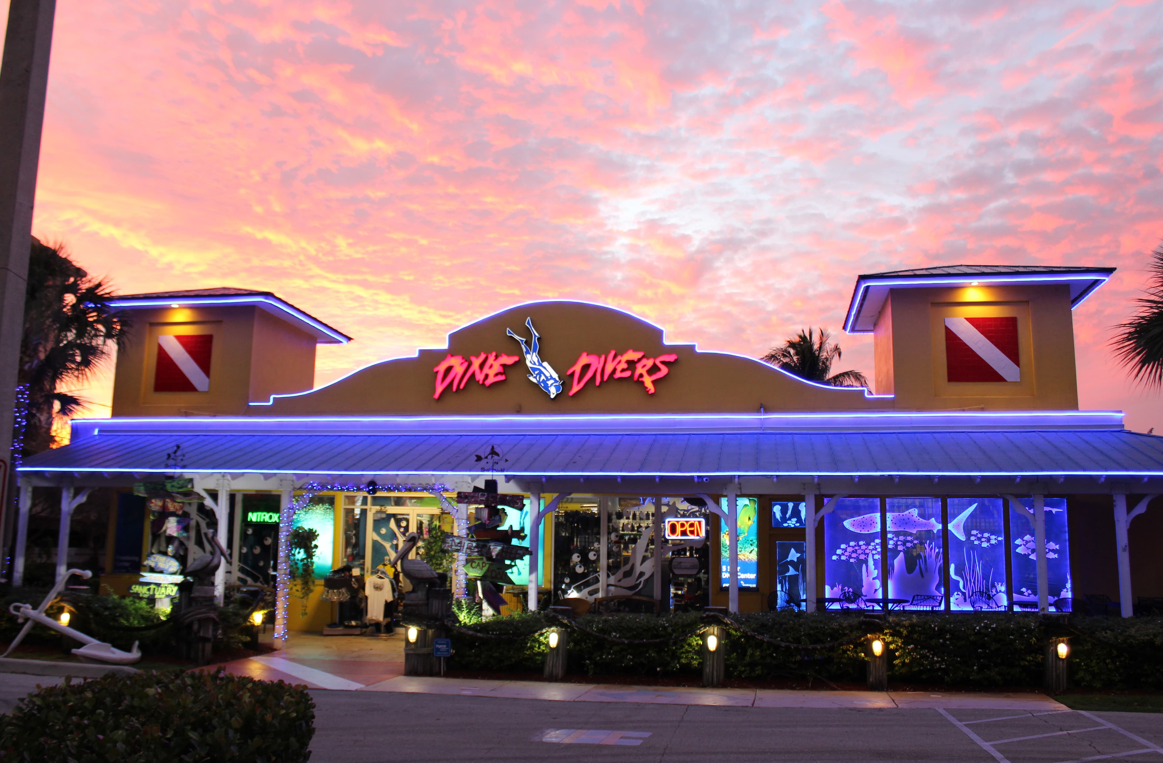 Dixie Divers