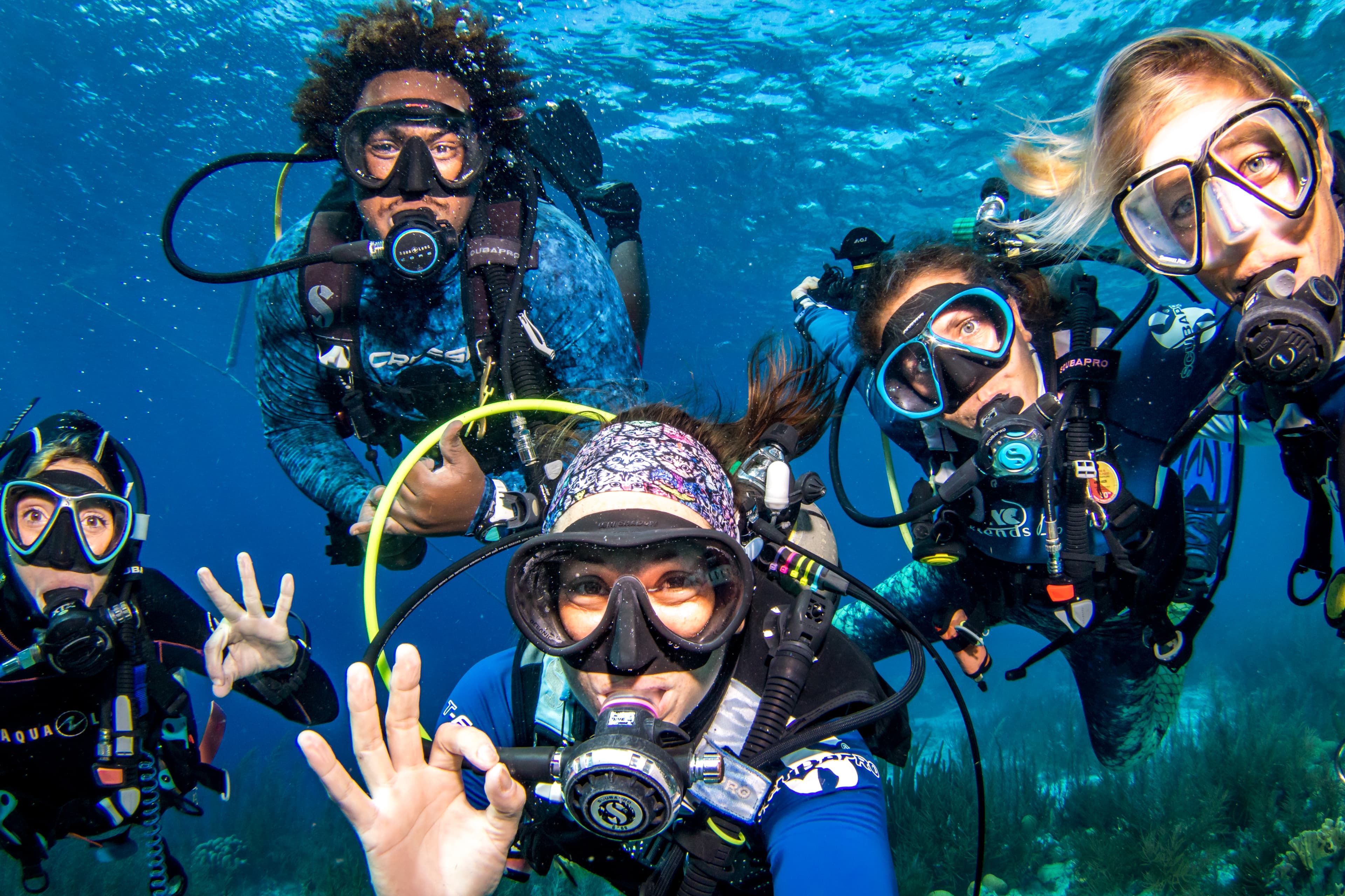 Dive Friends Bonaire @ Retail & Dive