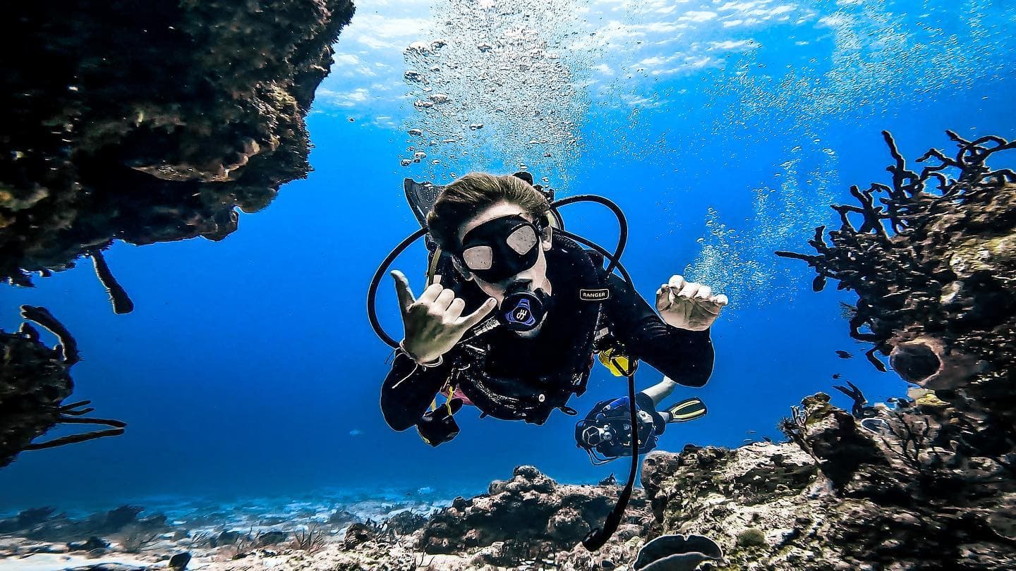 Cha Cha Cha Dive Shop