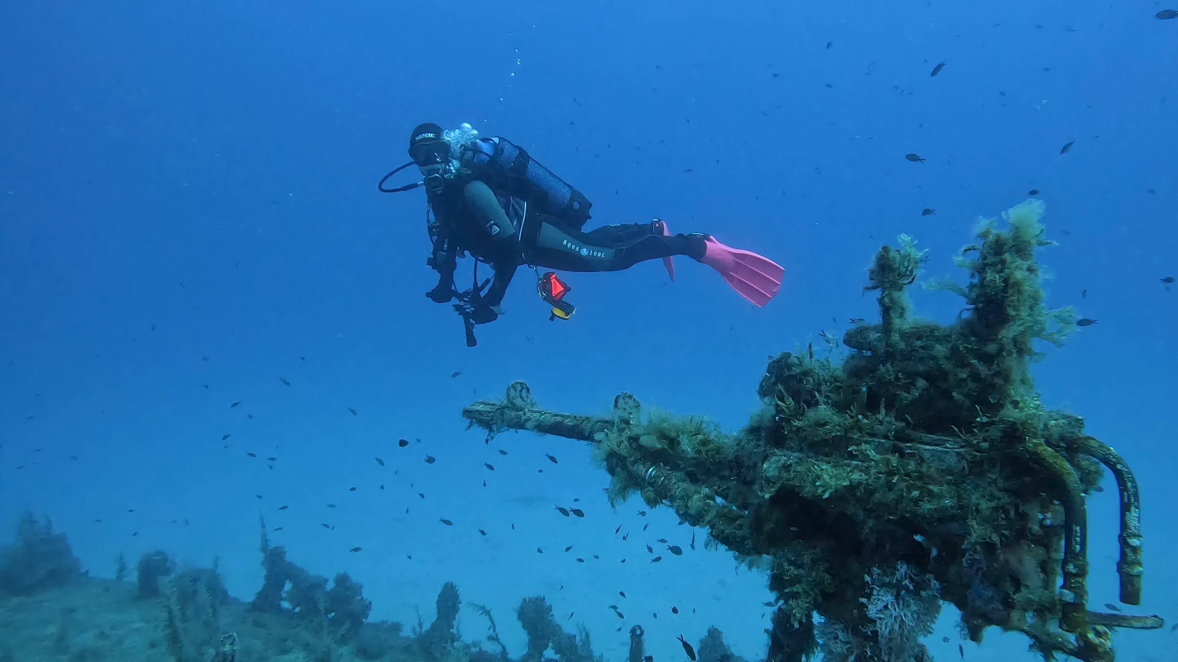 Dawn Diving