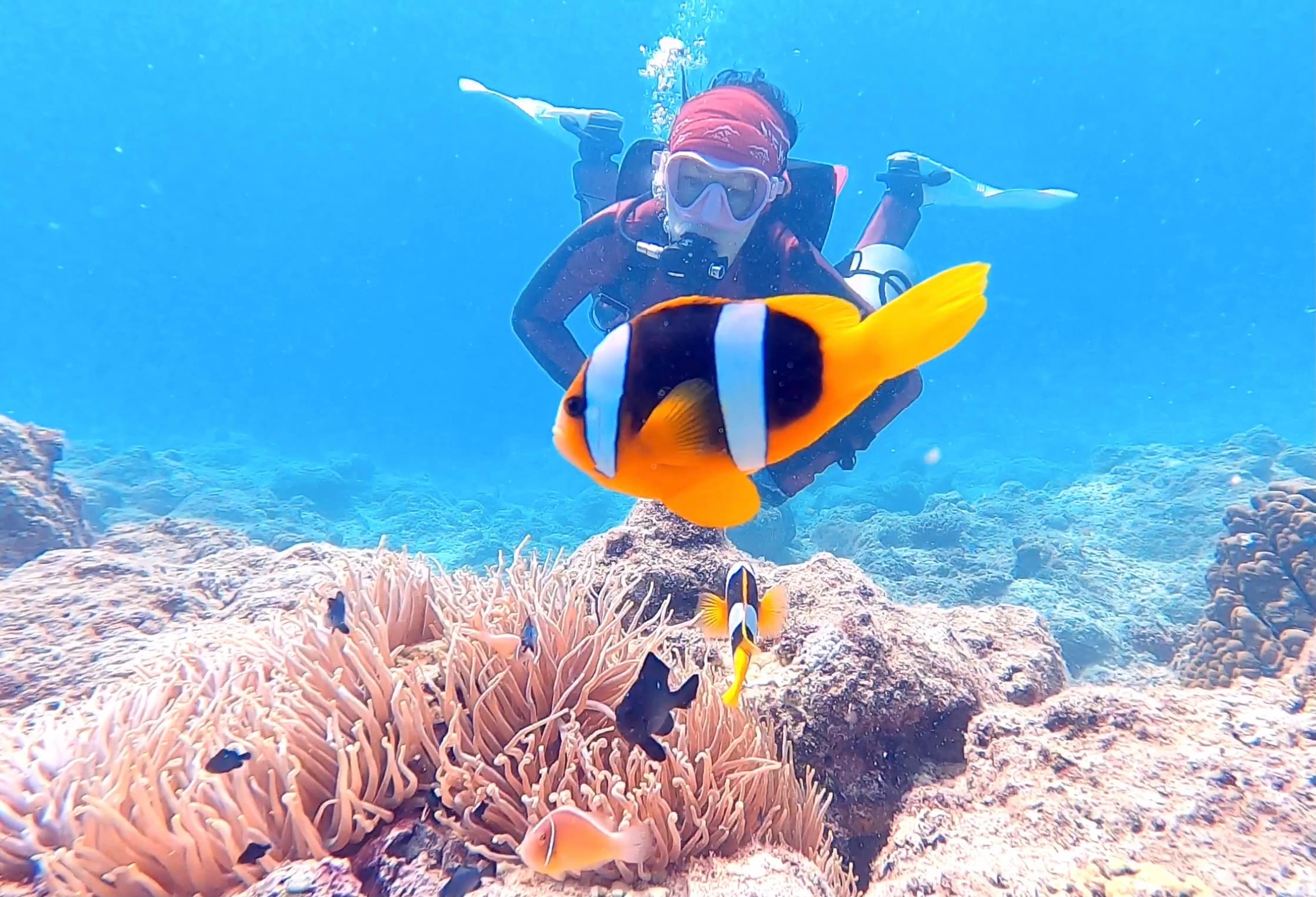 Gone Diving Vanuatu