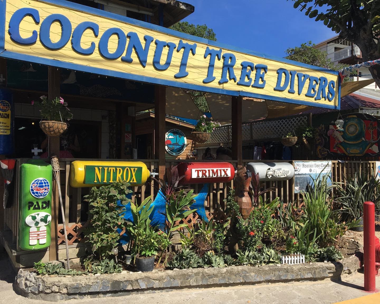 Coconut Tree Divers