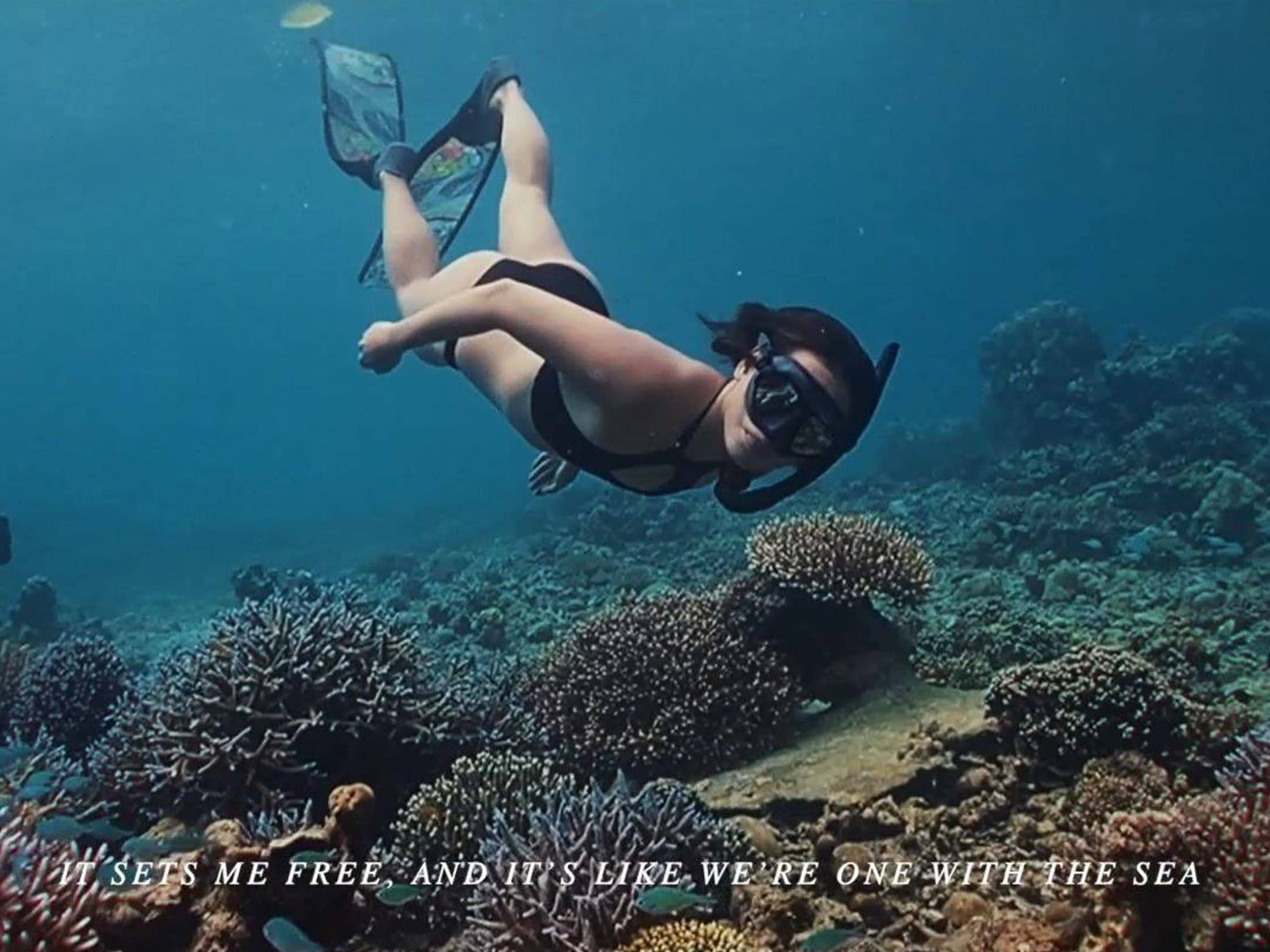 Bangkok Freedivers
