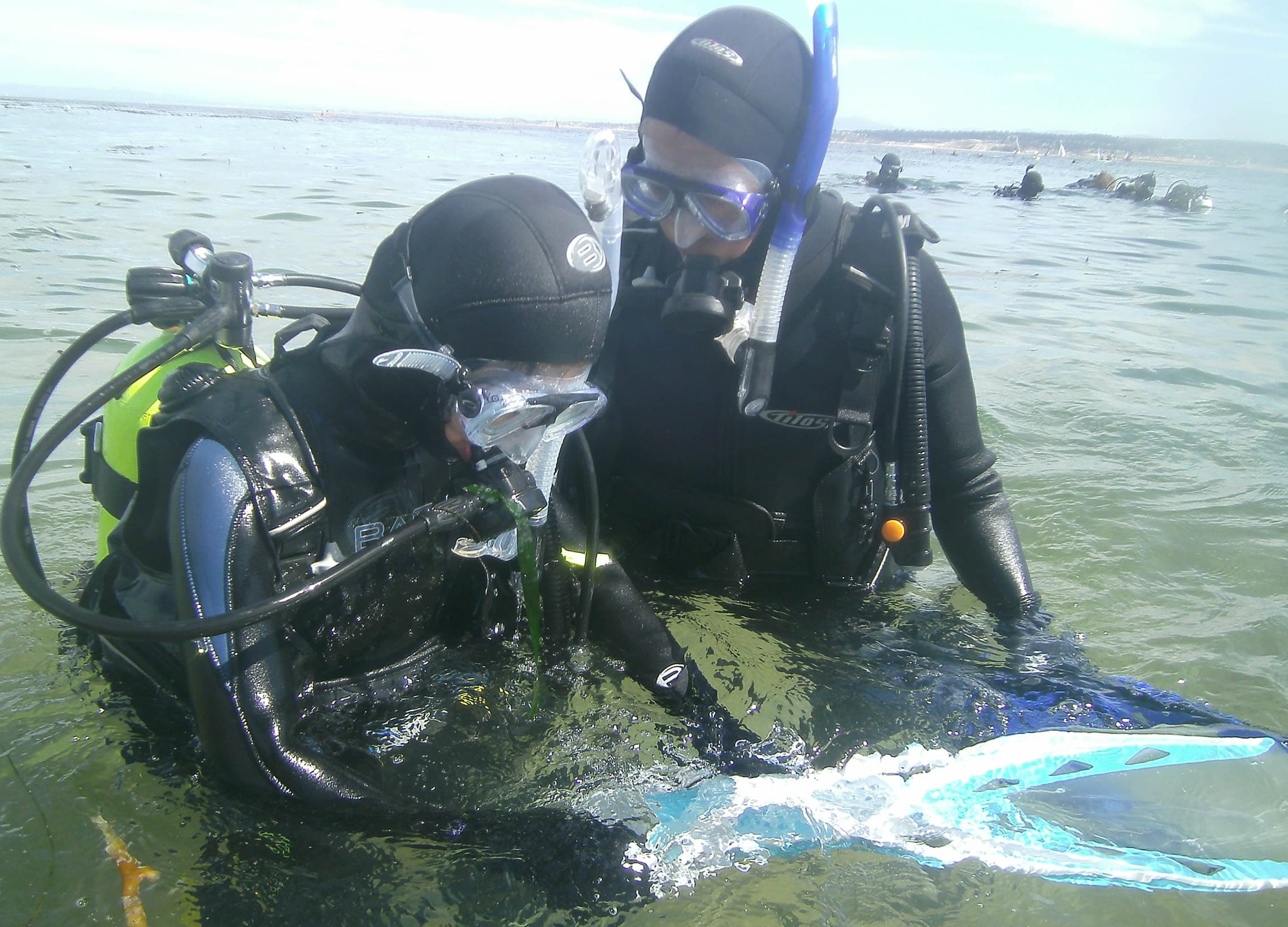Scuba Fusion
