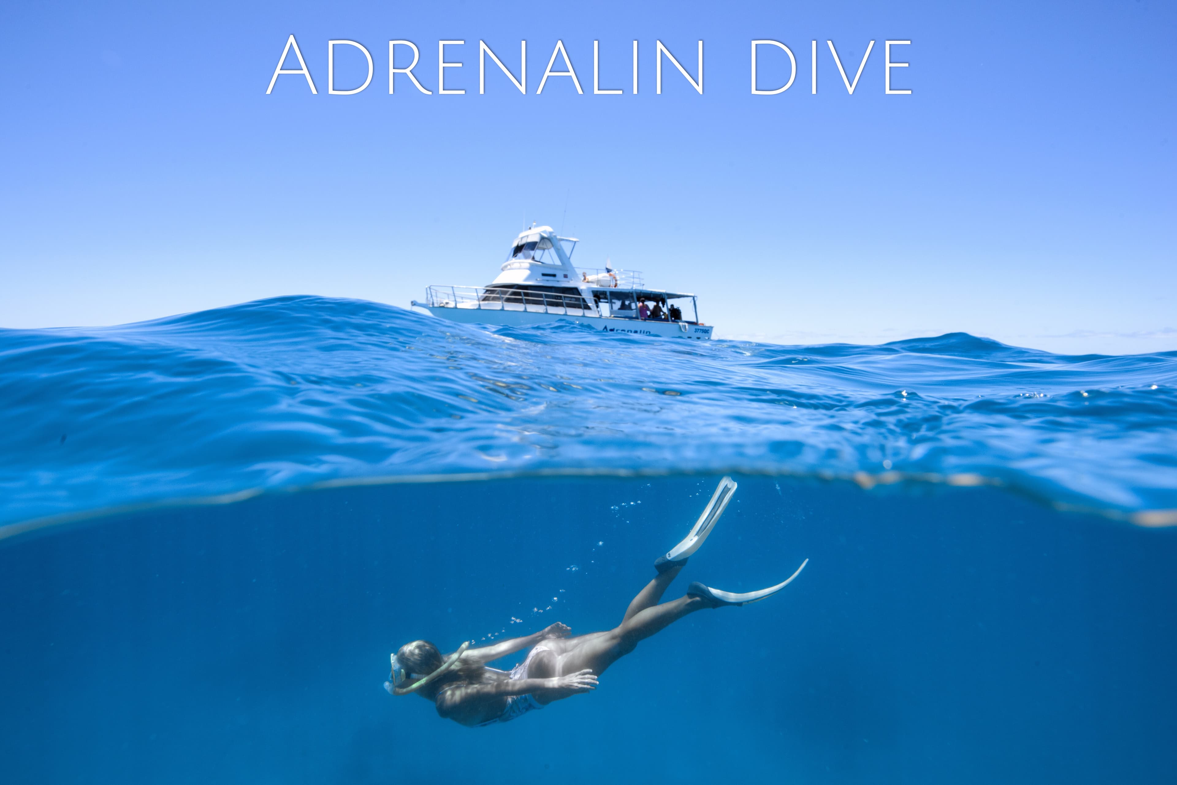 Adrenalin Snorkel & Dive