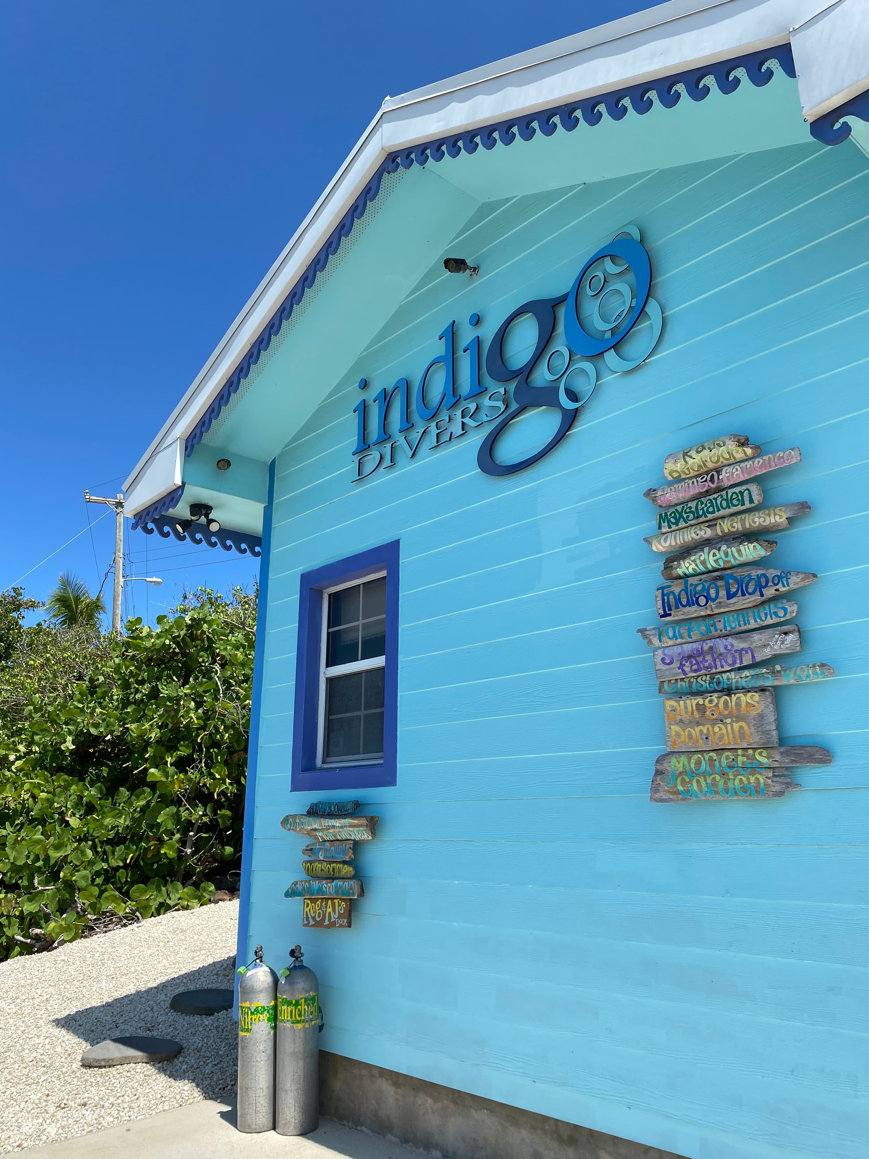 Indigo Divers