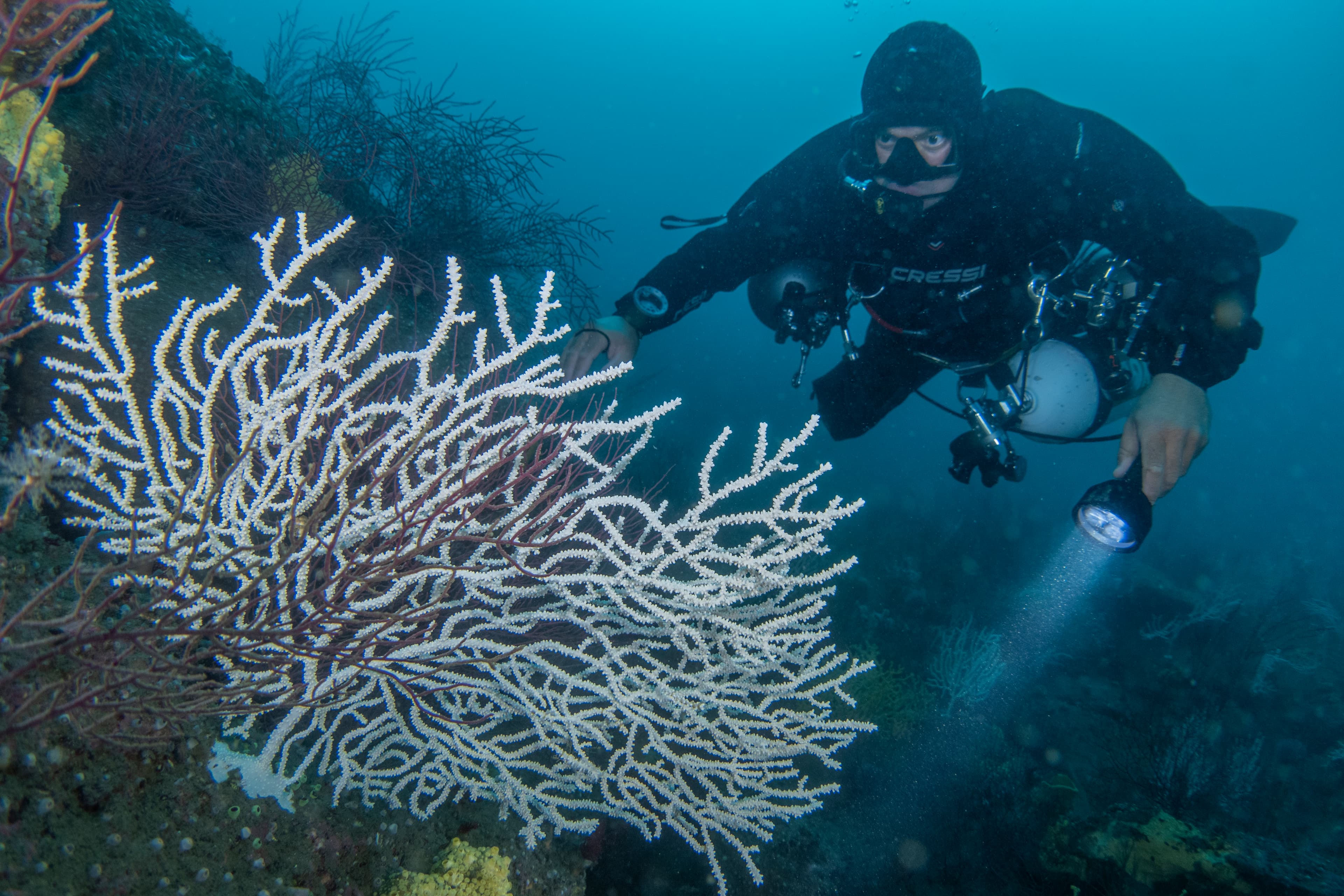 Buceo Islas Cies