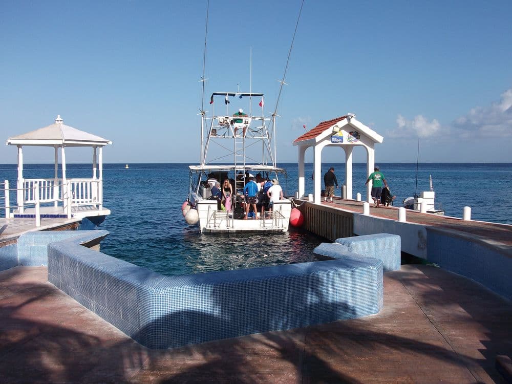 Dive Paradise