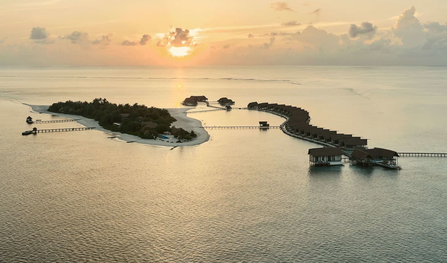 Ocean Paradise
