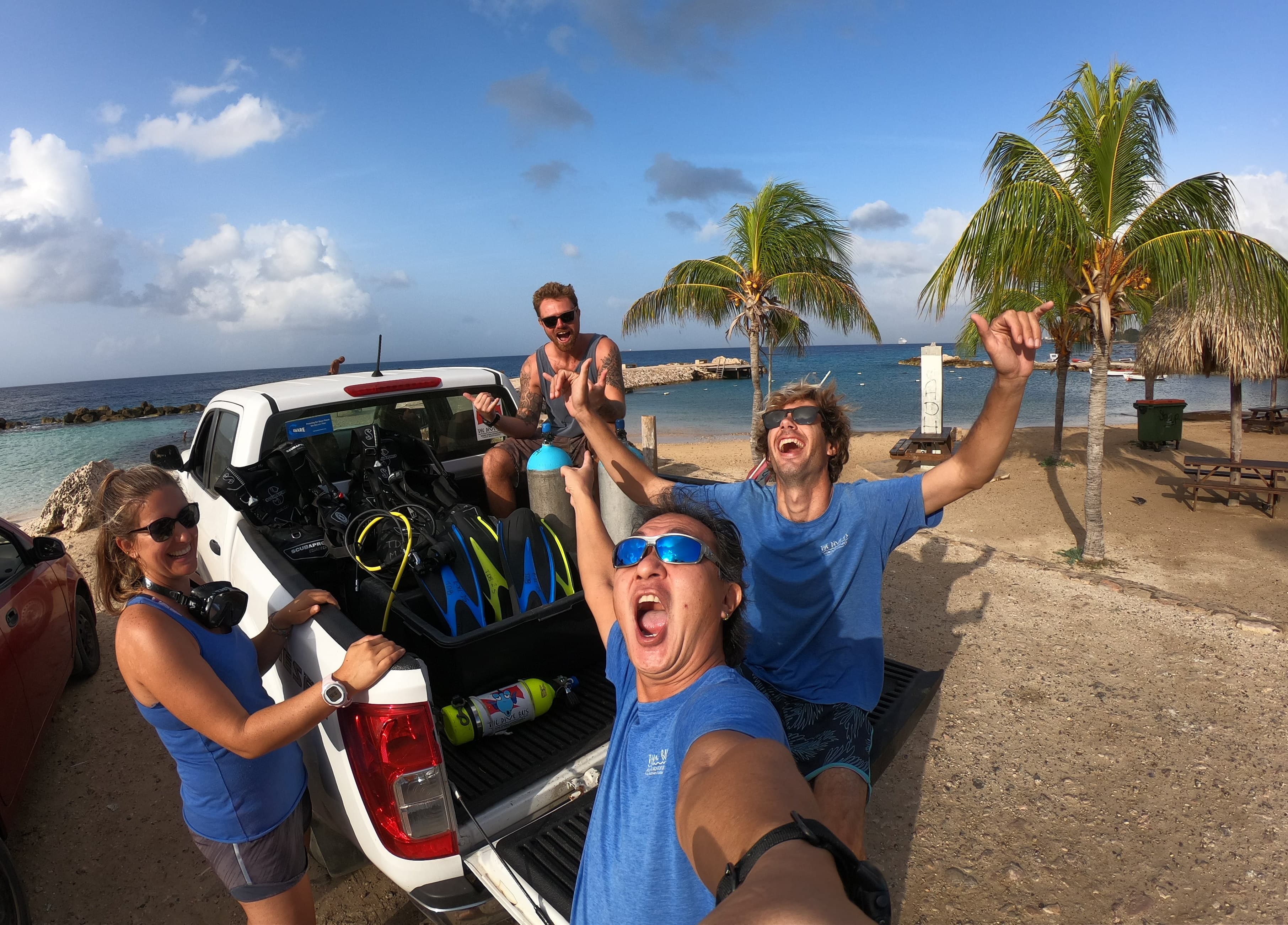 The Dive Bus