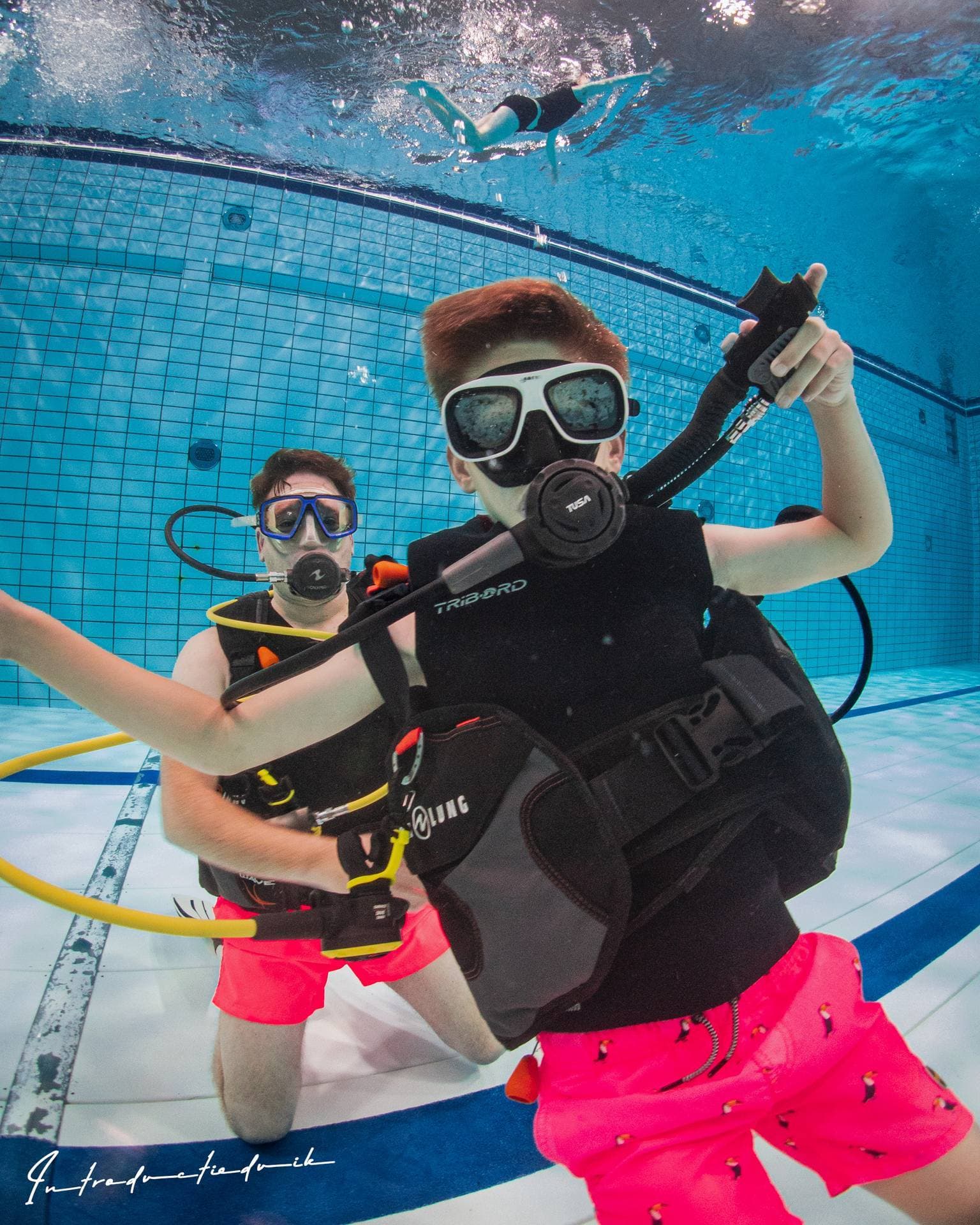 Brabant, Sealand & Limburg Diving
