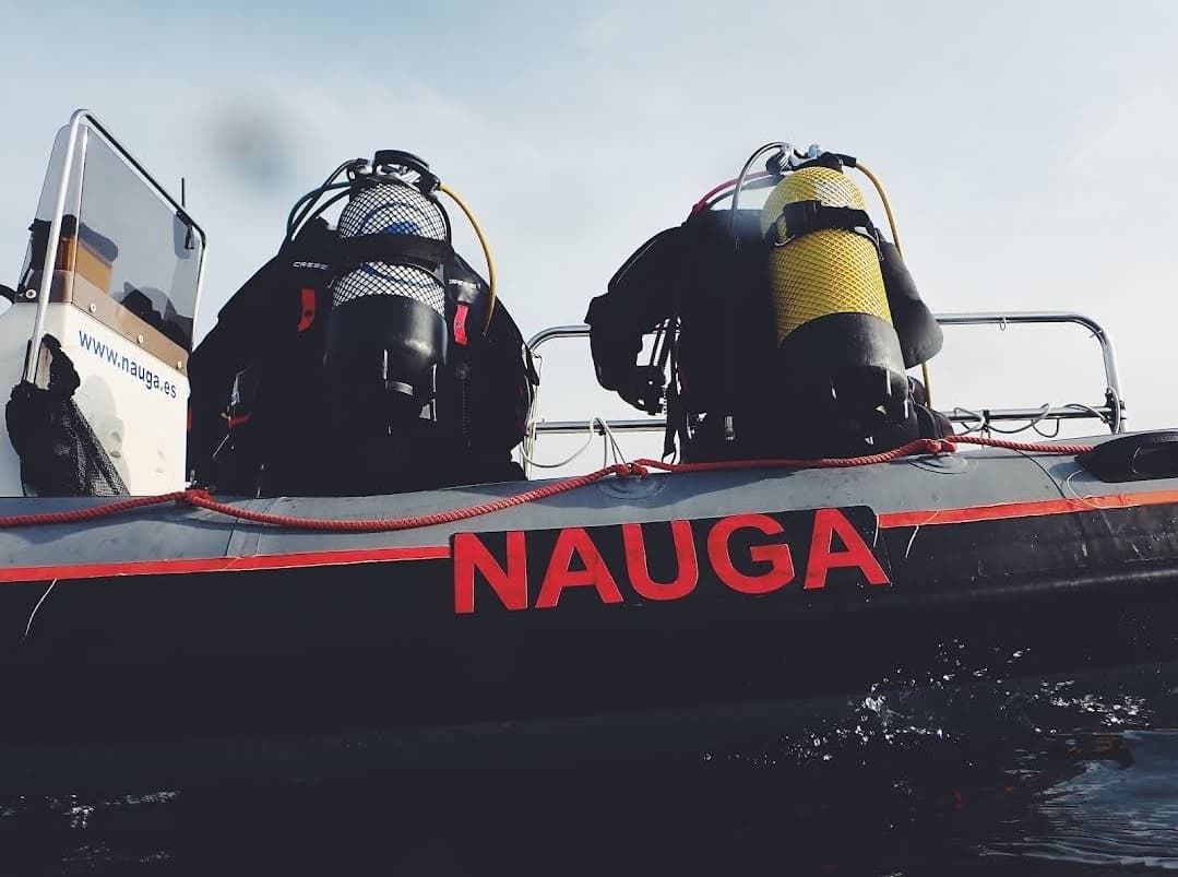 Nauga