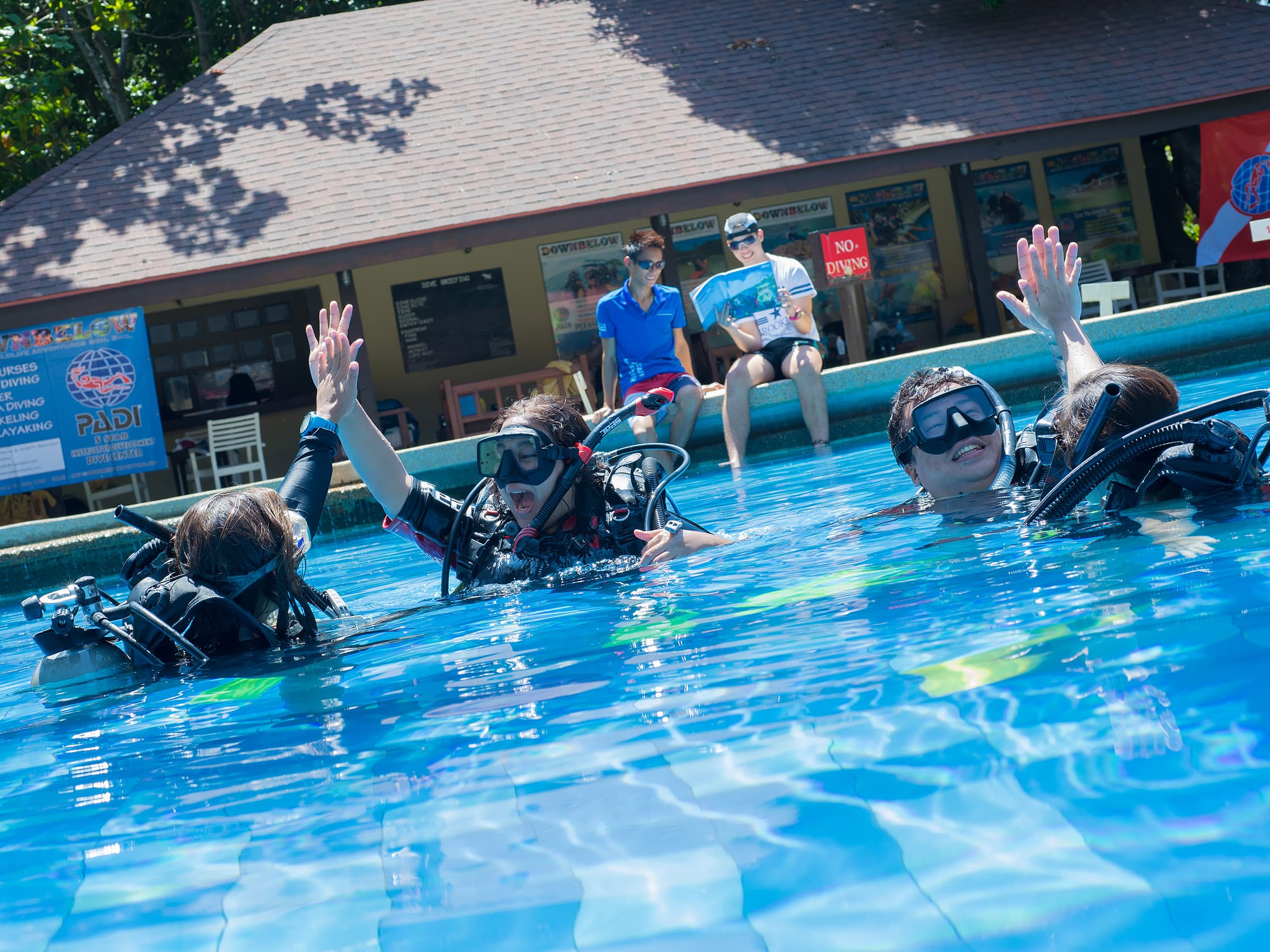 Downbelow Marine & Wildlife Adventures