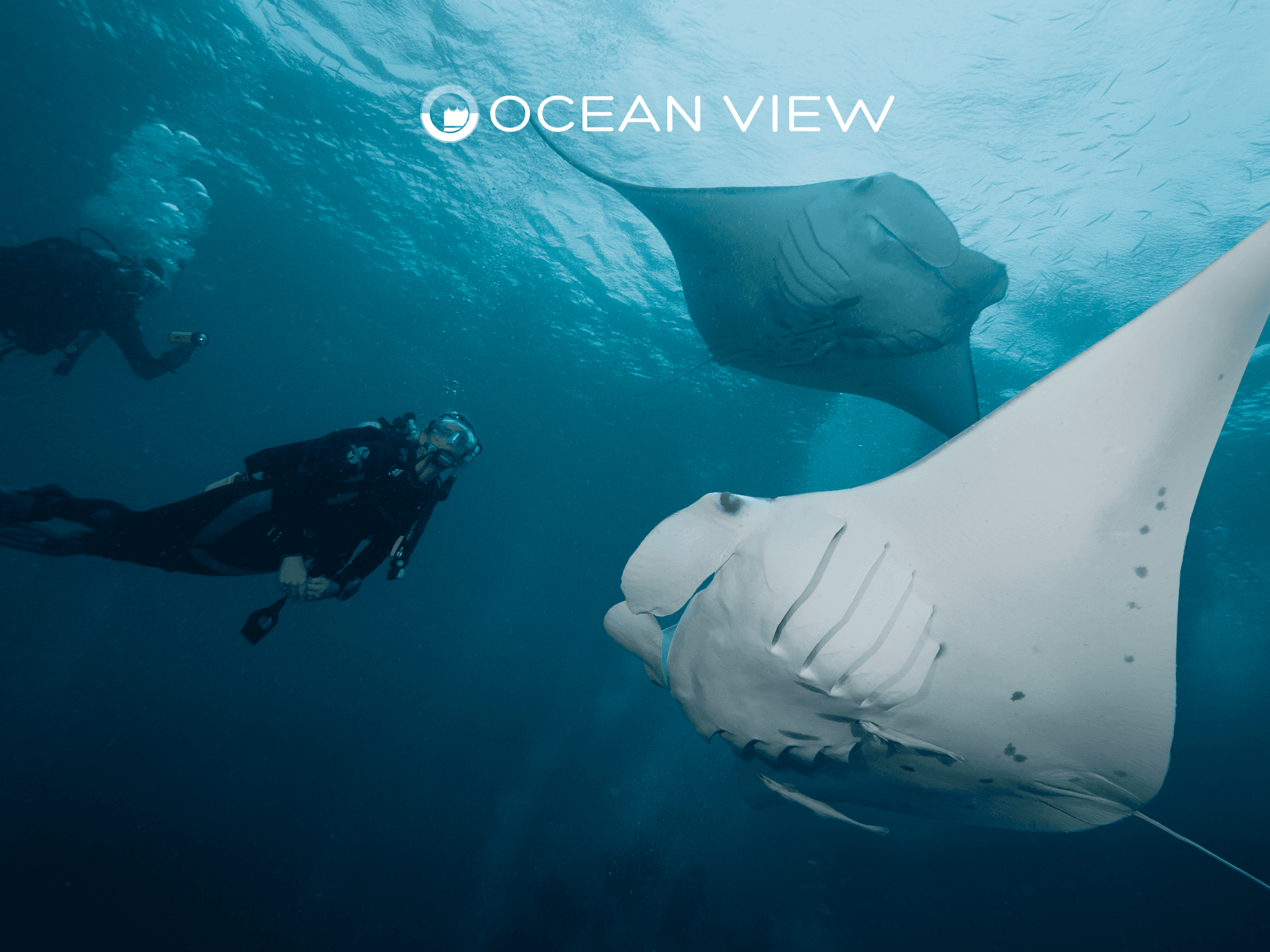 Ocean View