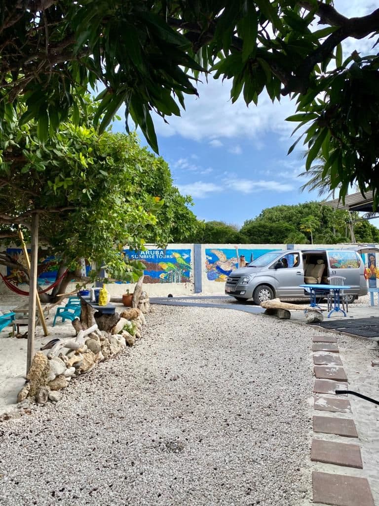 Aruba Bob Snorkel & Scuba