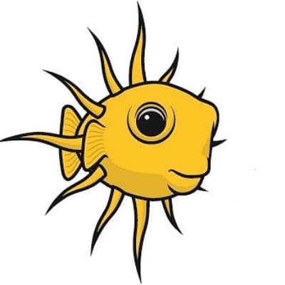 Sunshine Divers