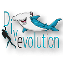 Divevolution logo