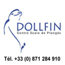 Dollfin logo