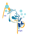 ANSE CARAIBE PLONGEE logo