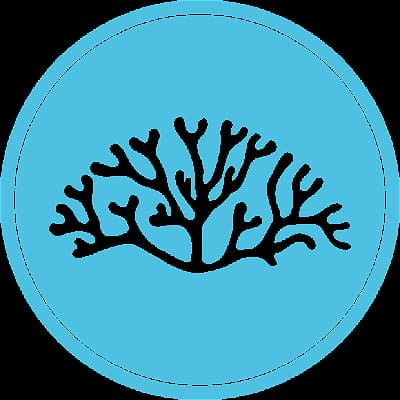 CANOPEE BLEUE