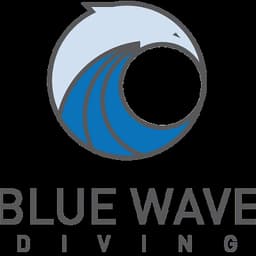 BLUE WAVE DIVING MADIROKELY logo