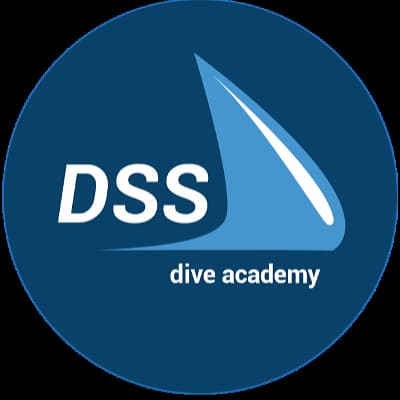 DSS DALIŞ MERKEZİ