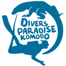 Divers Paradise Komodo logo