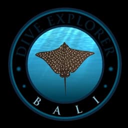 AMED DIVE EXPLORER logo