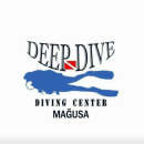 Deep Dive Diving Center logo