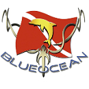 Blue Ocean logo
