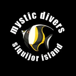 Mystic divers logo