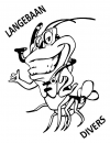Langebaan Divers logo